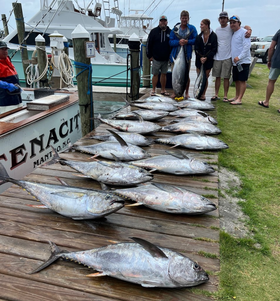 Tuna Fishing