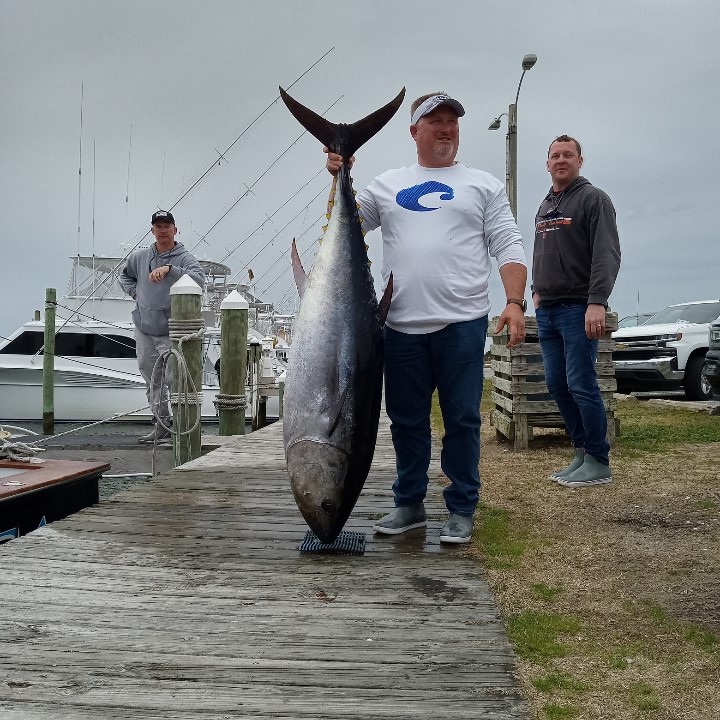 A person stands on a dock in Outer Banks, NC and holds up a tuna that is as tall as they are.