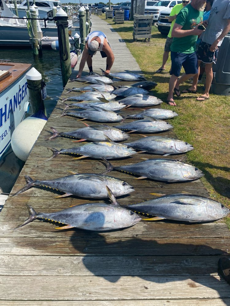 A group of people stand on the dock and look over their fresh tuna catch in Outer Banks, NC.