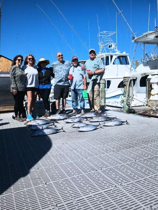 May we show you some fish?