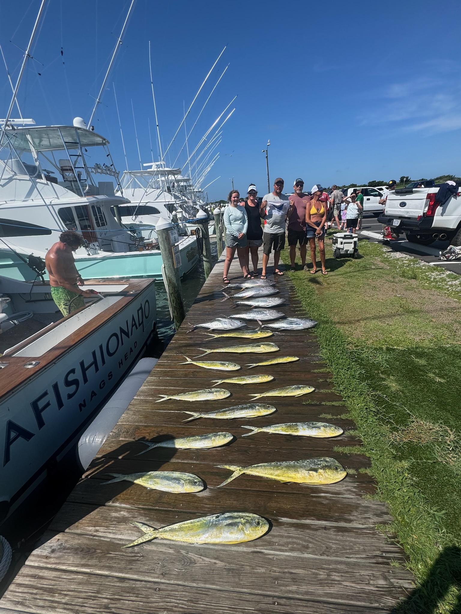 Reeling in July